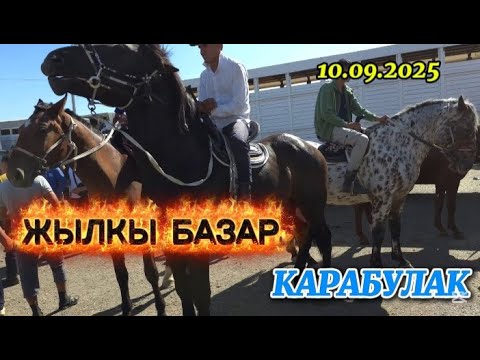 Видео: Жылқы базар Қарабұлақ мал базар