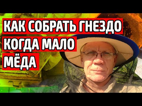 Видео: Как собрать гнездо когда мало меда Полезные советы Сборка гнезда пчел на зиму