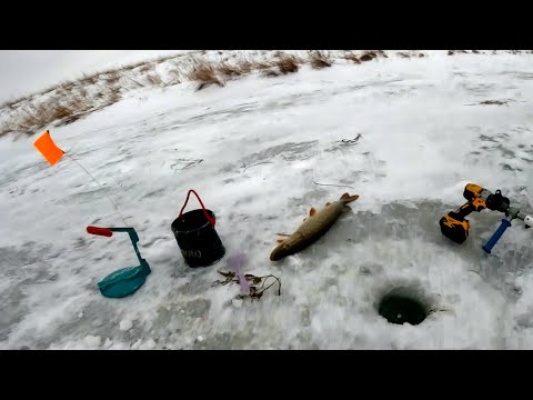 Видео: ВЫСТАВИЛ ЖЕРЛИЦЫ на НОЧЬ за 200 км от ДОМА и не ПРОГАДАЛ. ЩУКА стащила КАМЕРУ! Ловля щуки на жерлицы