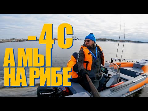 Видео: -4 а мы на РИБЕ! Haibo iPenguin , сумки от IVLERBOAT и ПНД риб для рыбалки! Рыбалка в ноябре!