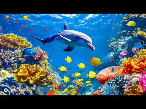 Видео: Лечебная Музыка для Снятия Стресса, Усталости, Детокс негативных эмоций