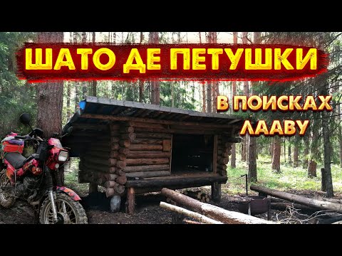 Видео: Экспедиция Шато де Петушки, попробуй отыщи. Лааву в лесу.