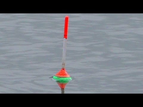 Видео: Зачетные караси на поплавок на реке в октябре
