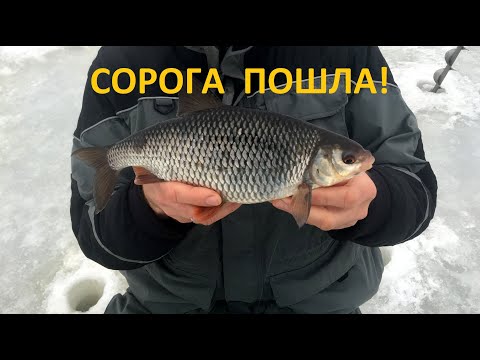 Видео: КРУПНЯК на МЕЛИ! Дикие поклёвки! Последний лёд, безнасадка.