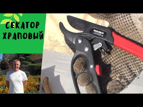 Видео: Купил секатор храповый   Vitals Master PS 200 03R