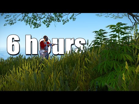 Видео: Я играл в Solo Rust 6 часов. Вот что произошло...