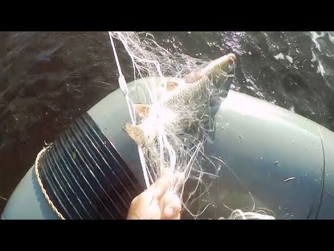 Видео: Рыбалка Сетями, Утро снимаем сеть, Рыбалка по большой воде 2 часть