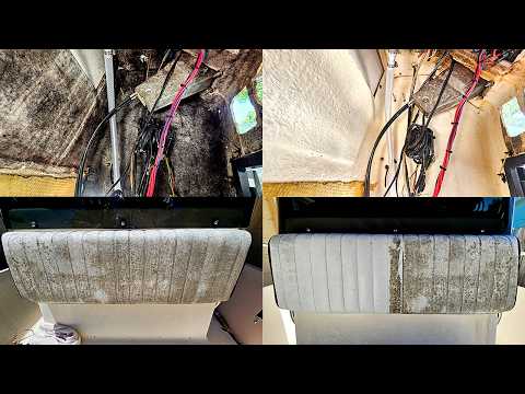 Видео: Удаление черной плесени с лодки