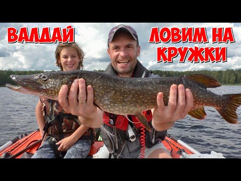 Видео: ВАЛДАЙ. ЛОВИМ НА САМОДЕЛЬНЫЕ КРУЖКИ.