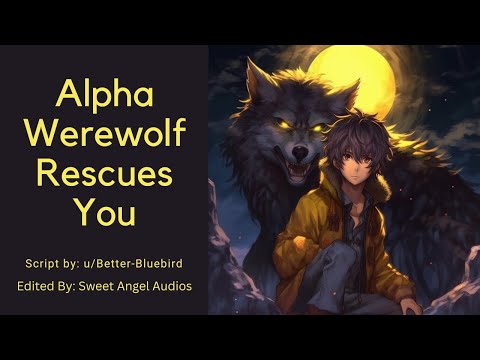 Видео: Альфа-оборотень защищает тебя [M4F] [Альфа-оборотень x Новый слушатель-оборотень] [Из незнакомцев...