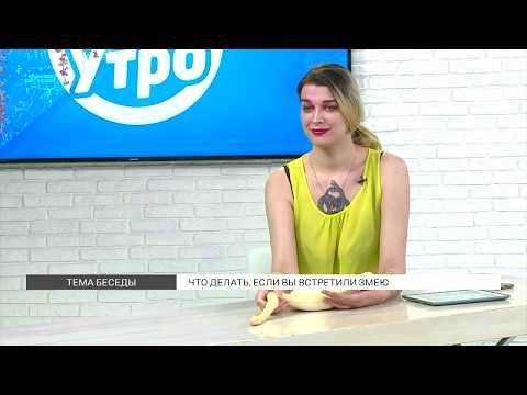 Видео: Как вести себя при встрече со змеей?