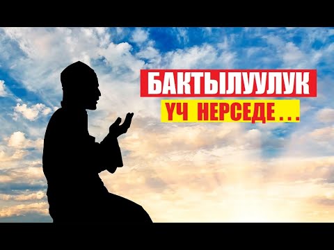 Видео: БАКТЫЛУЛУУК 3 ГАНА НЕРСЕДЕ... / Котормо