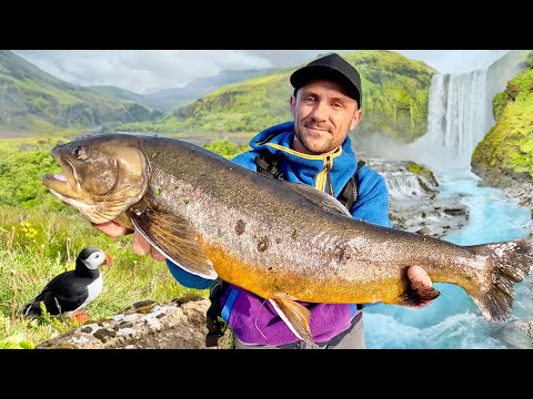 Видео: ИСЛАНДИЯ: Солнце 24/7, Киты, Тухлая Акула и Ледяная Рыбалка [Часть 1]