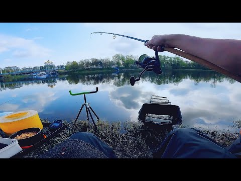 Видео: от А до Я - РЫБАЛКА на ЛЕЩА! Умная ЛОВЛЯ рыбы в мелочах! ПРИКОРМКА на молоке! Fishing on the feeder!