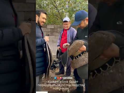 Видео: Ертоқым жасау бизнесі