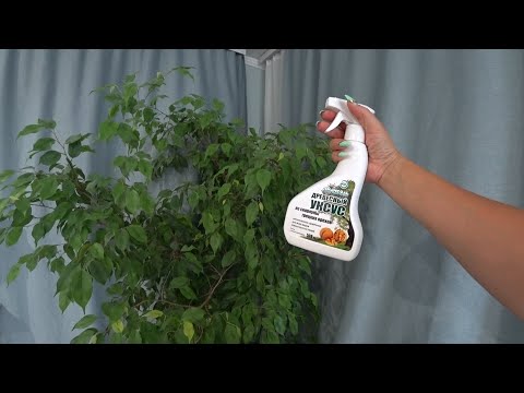 Видео: Древесный уксус!!! Новое удобрение ! Эксперимент длинной в целый месяц!