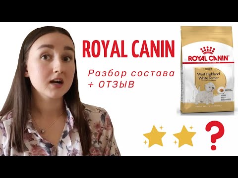 Видео: Royal Canin: ШОК-разбор состава корма + ОТЗЫВ