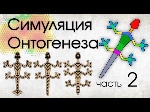 Видео: Симуляция Онтогенеза. Часть 2. HOX-гены.