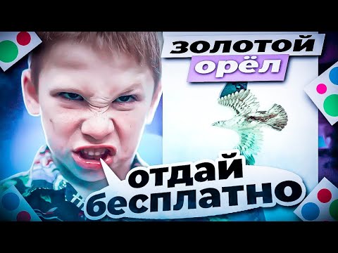 Видео: Выставил золотого орла на юлу и вот что вышло....