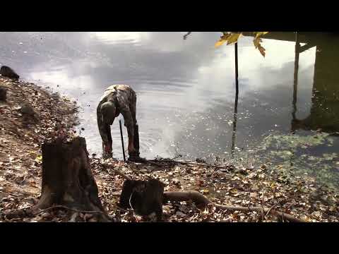 Видео: «Охотники Майк Роскос и Боб Лэмб абсолютно уверены, что им удастся поймать хотя бы одного вредног...