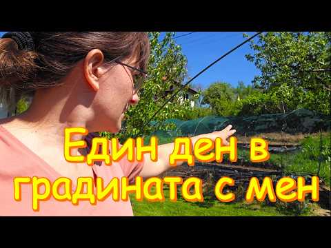 Видео: 🌽 Един градинарски ден от сутрин до вечер.🍅Сея, засаждам, пренасям разсад, вадя лук и още...🌱