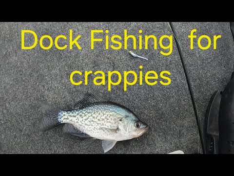 Видео: Доки для ловли краппи 1 ноября