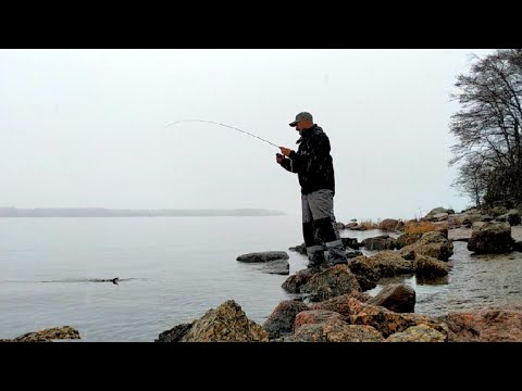 Видео: Самая уловистая приманка на окуня