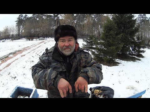 Видео: НА ПАРАШЕ МЕСТО ВАШЕ