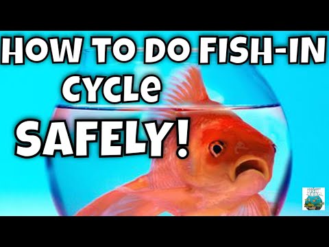 Видео: Как ловить рыбу на велосипеде БЕЗОПАСНО! НОВОЕ И УЛУЧШЕННОЕ!