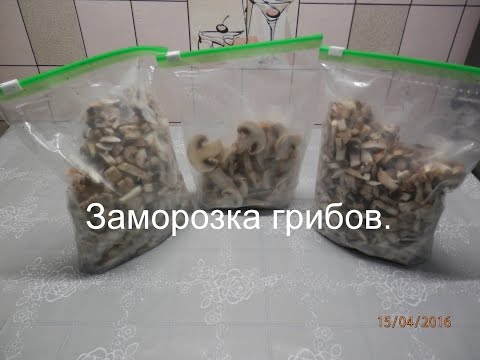 Видео: Хранение грибов / Как заморозить грибы на зиму