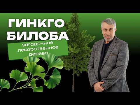 Видео: Гинкго билоба: загадочное лекарственное дерево