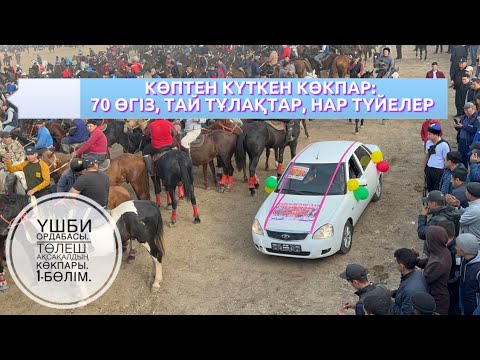 Видео: ТӨЛЕШ АҚСАҚАЛДЫҢ КӨКПАРЫ. 29.10.2022.ҮШ БИ ОРДАБАСЫ.1-бөлім. #кокпар2022 #көкпар2022 #көкпар#pferde