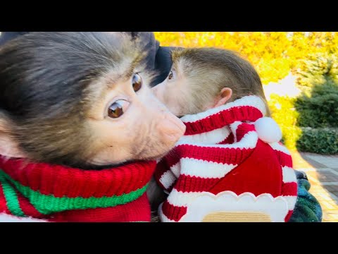 Видео: Степа с Маней НАРЯДИЛИСЬ и пошли гулять, но тут Степа УВИДЕЛ СЛОНА и рванул домой!