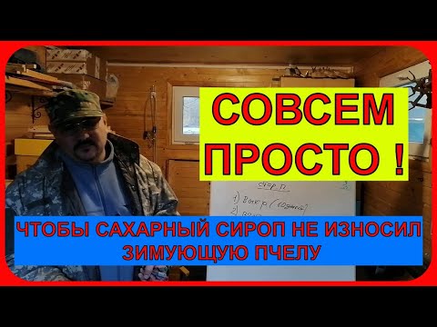 Видео: 📕 Как при подкормке пчел осенью сахарным сиропом их не износить 📕