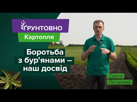Видео: Як ми боремося з бур’янами на картоплі: технологія захисту в деталях
