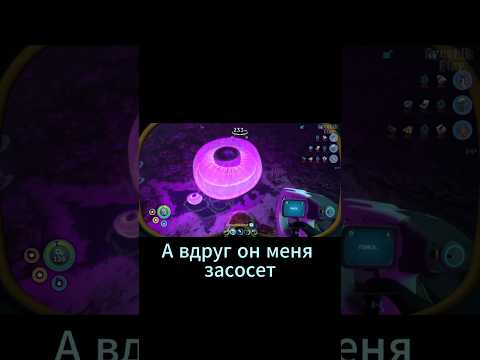 Видео: ЧТО ЭТО ЗА ПУПЫРКИ?!                    #игры #сабнафтика #subnautica #прохождение #шортс #выживание