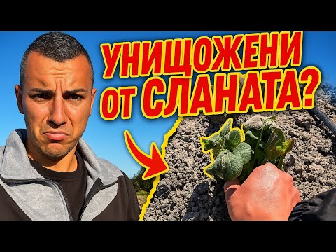 Видео: Не ни пропусна !