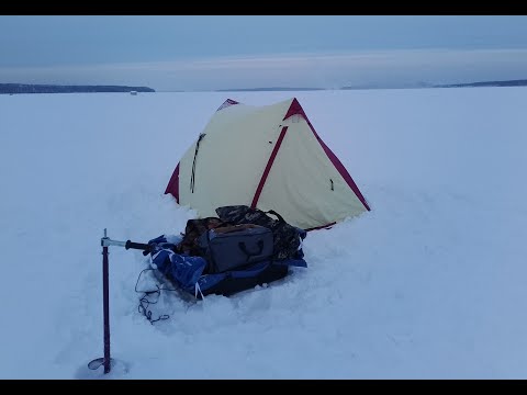 Видео: рыбалка 03.01.24 Белоярское водохранилище, зелёный забор