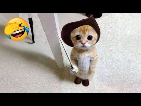 Видео: Самые смешные животные 2025 - Приколы с котами и собаками - Смешные Животные Видео #34