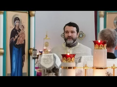 Видео: Ответы На Вопросы -8. Священник Александр Востродымов.