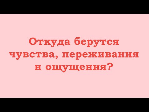 Видео: Откуда берутся чувства, переживания, ощущения?