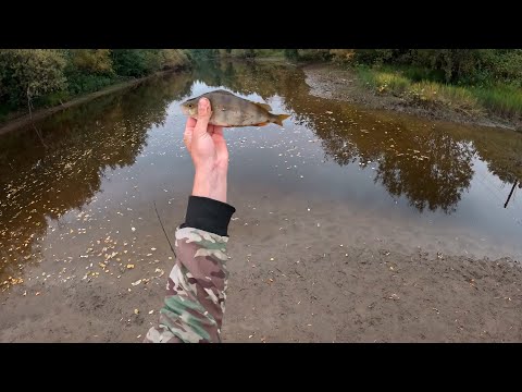 Видео: Рыбалка на дачной реке! Ловля на ультралайт! Окунь активизируется!