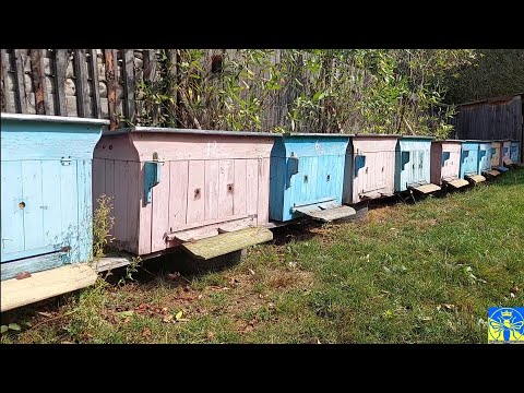 Видео: Розпродаж б/у вуликів 🤝💪