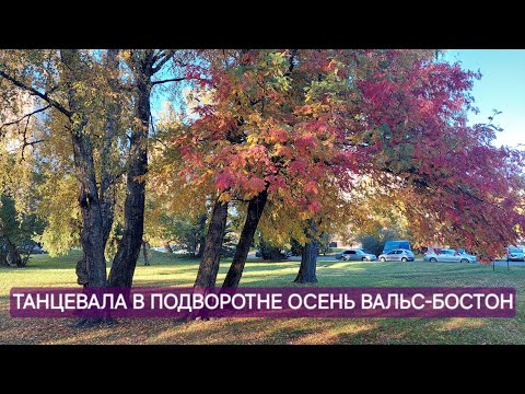 Видео: Блин-он и в Африке блин-Пицца на сковороде // Краски осени-прогулка //