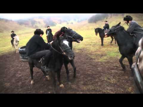 Видео: Бауыржан Момышұлы көкпар мектебі