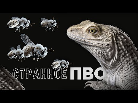 Видео: Странные системы защиты животных