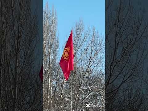 Видео: Каба айылы