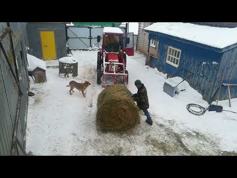 Видео: Т-25 перемещение сено в основной сарай