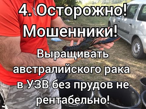 Видео: 4. Осторожно! Мошенники!