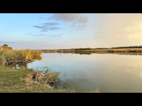 Видео: ПРОСТАЯ РЫБАЛКА НА КАРАСЯ,  НА КРАСИВОЙ РЕКЕ. Начало новой истории!